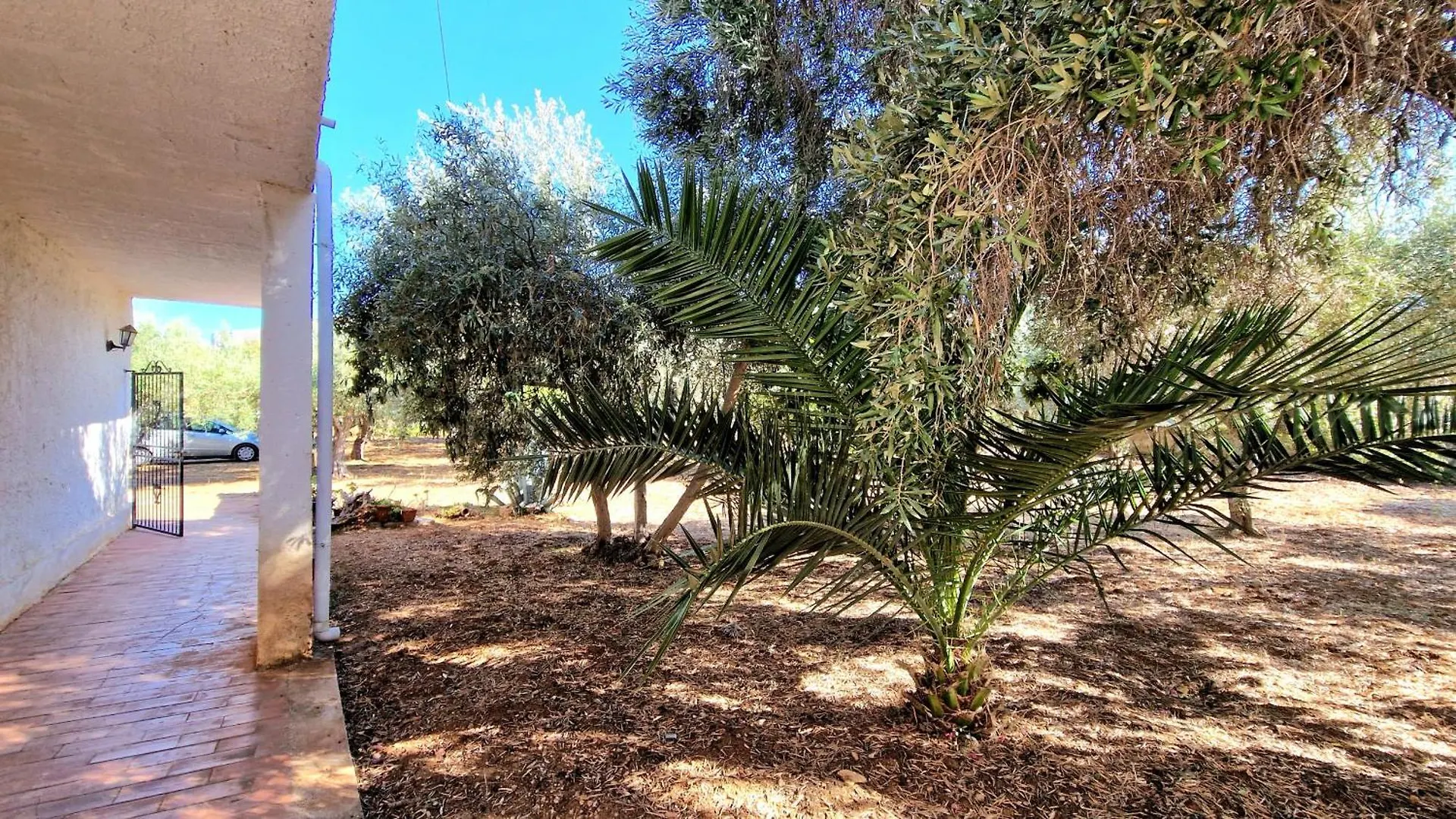Appartamenti Amagea Scopello  Itália